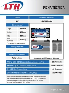 AGM 31T - comprar en línea