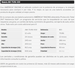 AMERICA 75/86 - comprar en línea