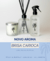 Carrossel 4