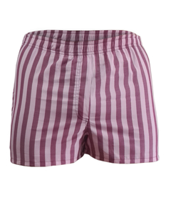 Boxer PRAGA en internet