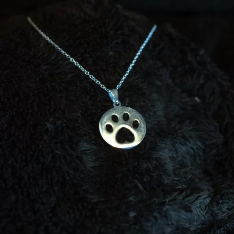 Dije huella perro + cadena - comprar online