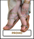 Banner de Ville Marie