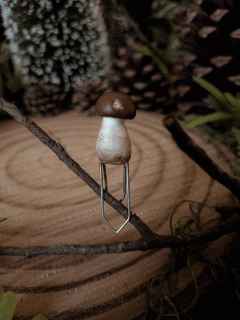 Clipe de Papel Cogumelo Bolletus na internet