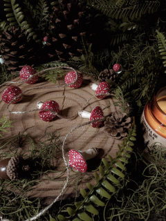 Varalzinho Amanitas - comprar online