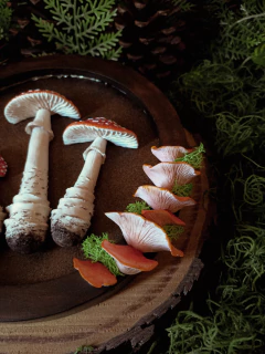 Quadro Brilho dos Cogumelos na internet