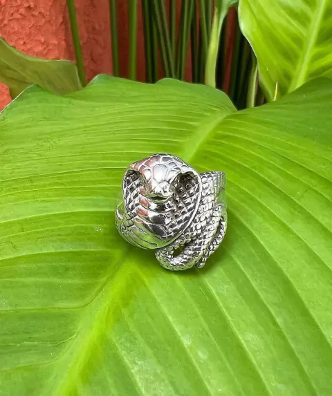 Anel Prata Serpente
