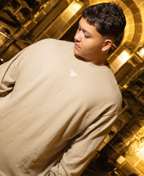 Oversized Manga Longa Owl - comprar online