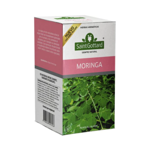 TE MORINGA X 20 SAQ. SAINT GOTTARD