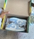 Tênis Dunk Low Pro - loja online