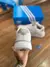Tênis Adidas Heilig - loja online