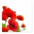 Amapolas III