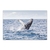 Ballena gris