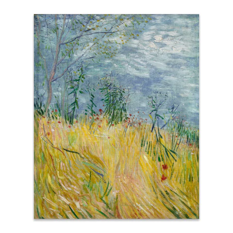 Borde de un campo de trigo con amapolas