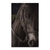 Caballo marron