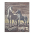 Caballo y cebra