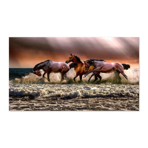 Caballos en la orilla