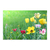Campo de flores