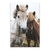 Dos caballos