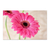 Flores rosadas