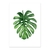 Hoja monstera II