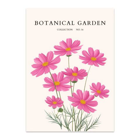 Jardín Botánico LXIII