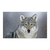 Lobo