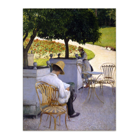 Los arboles de naranjo