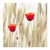 Poppies
