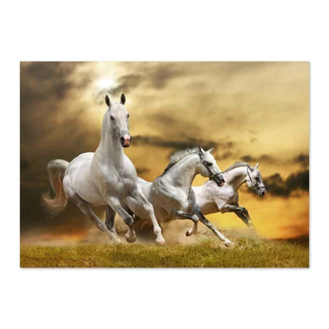 Tres caballos blancos