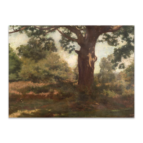 Robles en Fontainebleau