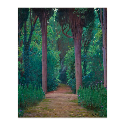 Sendero en un parque