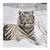 Tigre blanco en la nieve