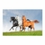 Tres caballos