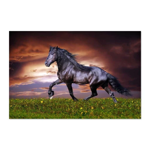 Trotando en el campo