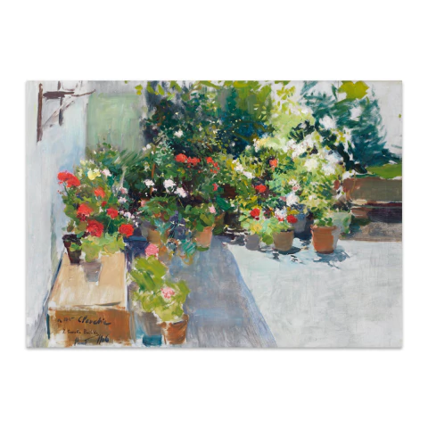 Una azotea con flores