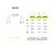 Maceta T-shirt en internet