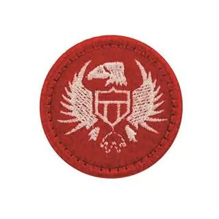 Patch Termocolante Brasão Logo Águia - 5,10 x 5,10 cm