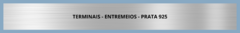 Banner da categoria Terminais - Entremeios - Prata 925