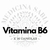VITAMINA B6 COMPRIMIDOS X 30 ANTIDEPRESIVO,FERTILIDAD, REGULA HORMONAS,ALOPECIA,ELEVA DEFENSAS, PRODUCE HEMOGLOBINA EQUILIBRA GLUCOSA, - comprar online