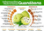 GUANABANA PURA CAPSULAS X 60-ANTIENVEJECIMIENTO-PROTECTOR HEPATICO-ANTIPARASITARIO - en internet