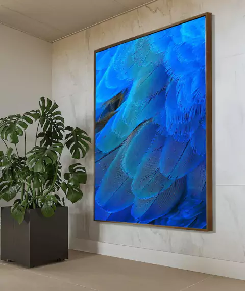 Quadro Asa Arara Azul