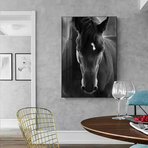 Quadro A Face Do Cavalo Preto