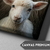 Quadro Leão e o Cordeiro na internet