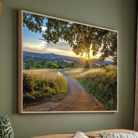 Quadro Caminho de Luz - comprar online