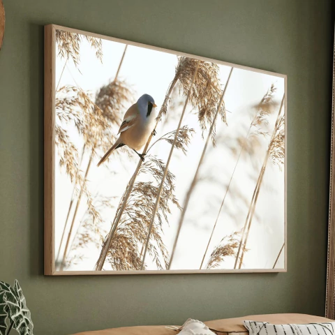 Quadro Jardim Encantado - comprar online