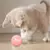 Pelota Interactiva Inteligente Para Gatos