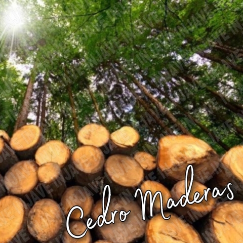 Fragancia Cedro Maderas para Velas