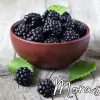 Fragancia Moras para Velas