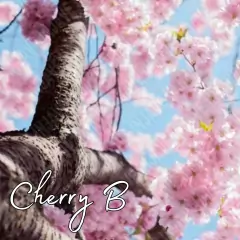 Fragancia Cherry Blossom para Jabones