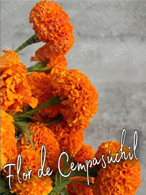 Fragancia Flor de Cempasúchil para Velas